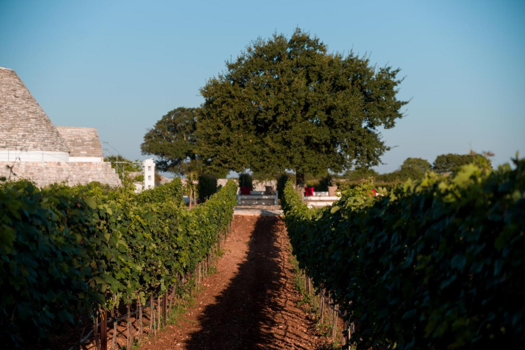 Nina Trulli Selva Di Fasano